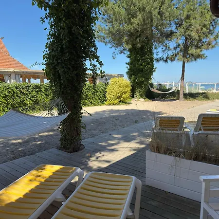 Zhong Hua Σόποτ