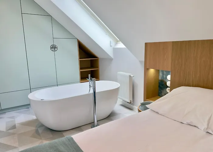 酒店 中华酒店 3*